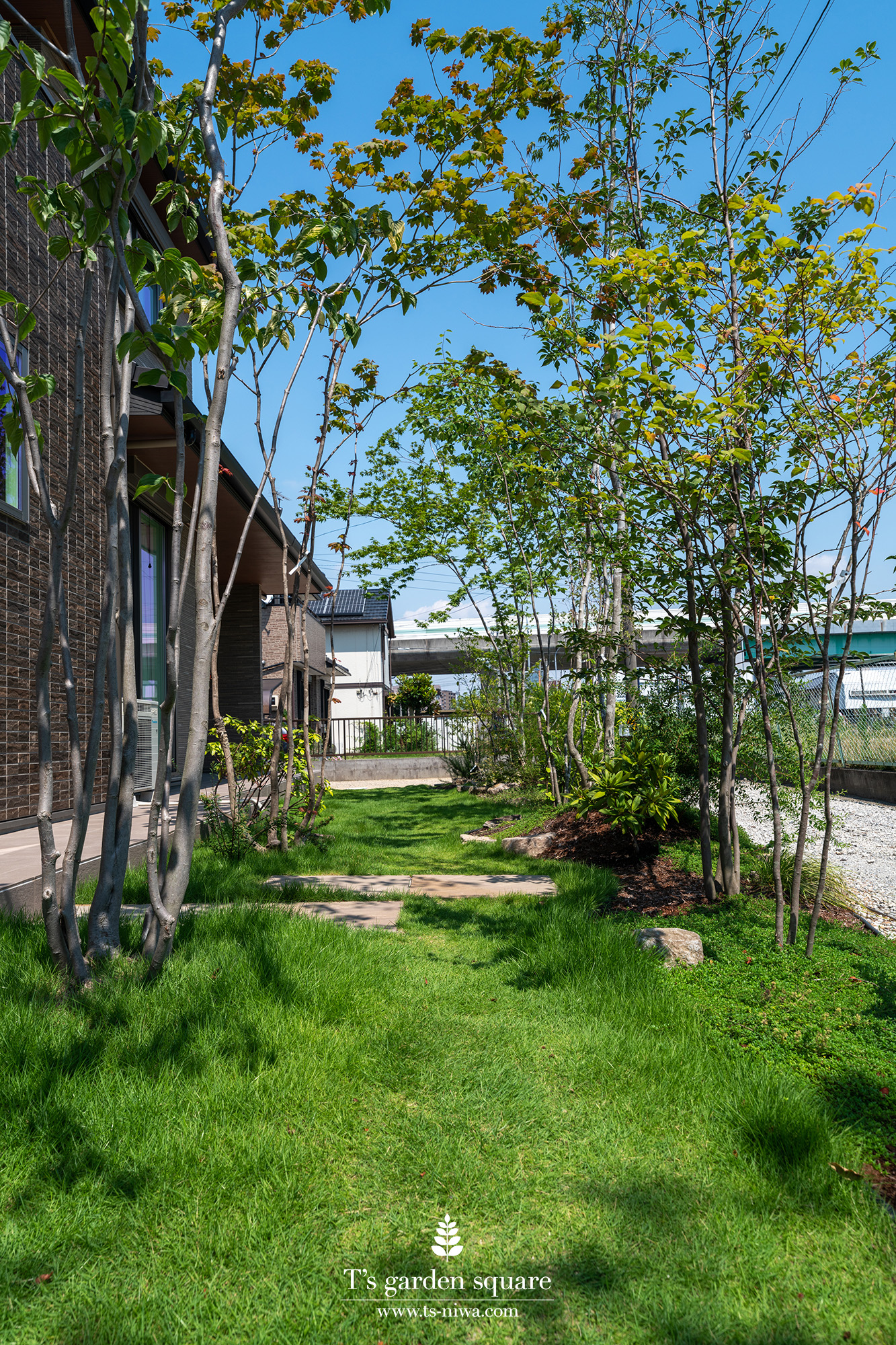 雑木のトンネル芝の庭