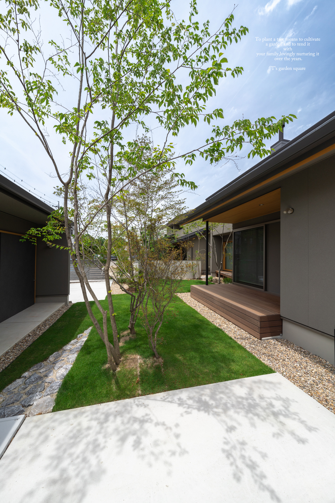 ドウダンツツジ